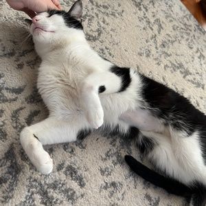 Meet your Posher, Felicia